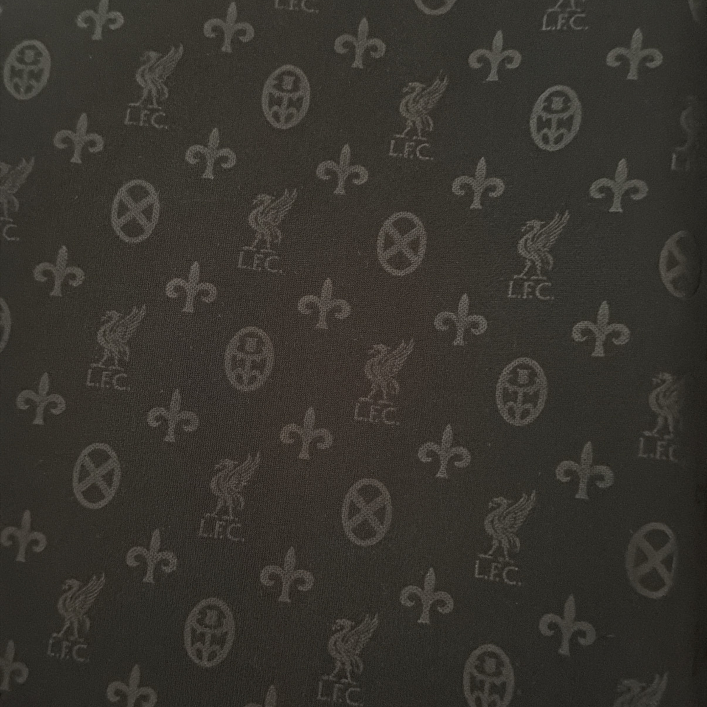 Liverpool 2020/21 Pre-Match Shirt